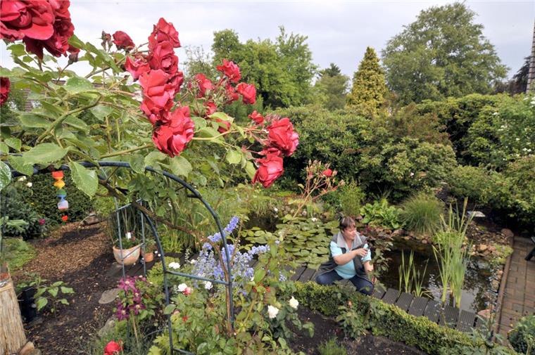 Offene Gartenpforte: Organisatoren suchen Teilnehmer aus Bremerhaven Das Archivbild zeigt Gisela Mindermann, Teilnehmerin an der Aktion „Offene Gartenpforte“, an ihrem Rosenbeet in der Fröbelstraße.