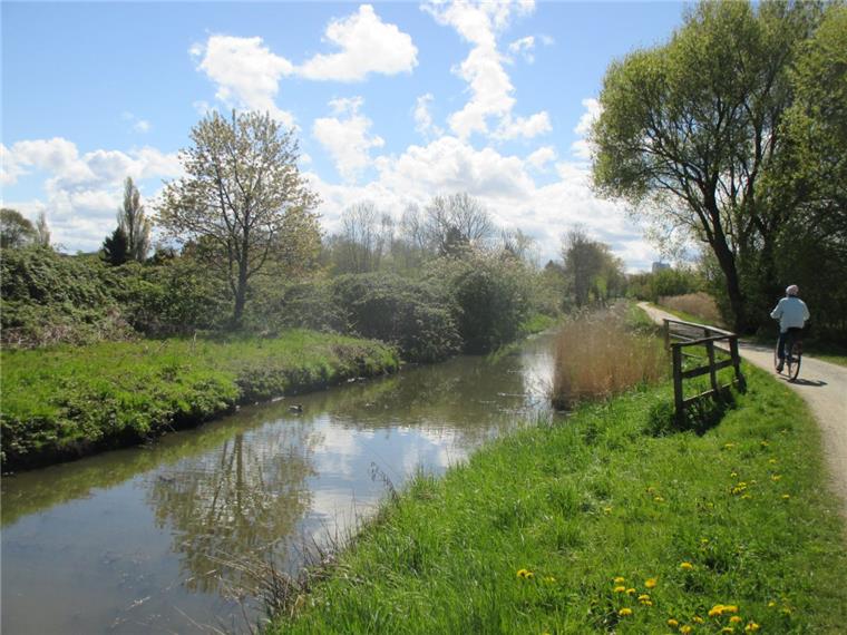 Zukunftswerkstatt für den "Leher Dschungel" Das "Auenland" zwischen Eckernfeld und Hafenrand bietet Idylle pur und auch verwahrloste Gärten als Müll- und Schrotthalden. Die Stadt will das ganze Gelände aufwerten und auch Baugrundstücke anbieten.