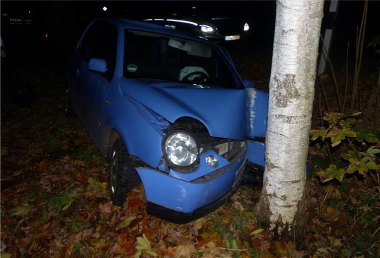 Wegen Reh: Bremerhavenerin fährt im Cuxland gegen Baum Das Auto der 21-Jährigen krachte gegen einen Baum.