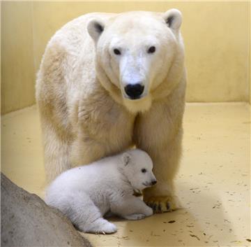 Das Baby kuschelt