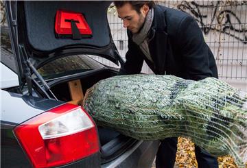 Das Bäumchen muss mit: Wer den Christbaum im Auto verstaut, muss ihn wie reguläre Fracht korrekt sichern. Ein übergezogenes Netz macht den Baum dabei wesentlich handlicher. 
