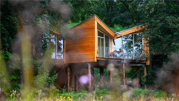 Das Baumhotel von aussen.