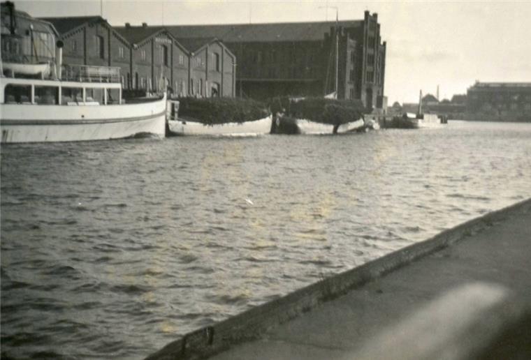 Bremerhaven: In diesen Schuppen zieht das Alfred-Wegener-Institut Das Bild aus den 1920er Jahren zeigt den ursprünglich als Lagerschuppen gebauten Komplex. Die Hallen links davor sind verschwunden. Dort steht heute das Awi-Technikum.
