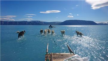 Das Bild des Kopenhagener Klimaforschers Steffen M. Olsen vom Dänischen Meteorologischen Institut zeigt, wie acht Hunde einen Schlitten an einem außergewöhnlich warmen Tag über das Meereseis ziehen. Statt des Eises ist jedoch nur noch knöchelhohes Schmelzwasser zu sehen.