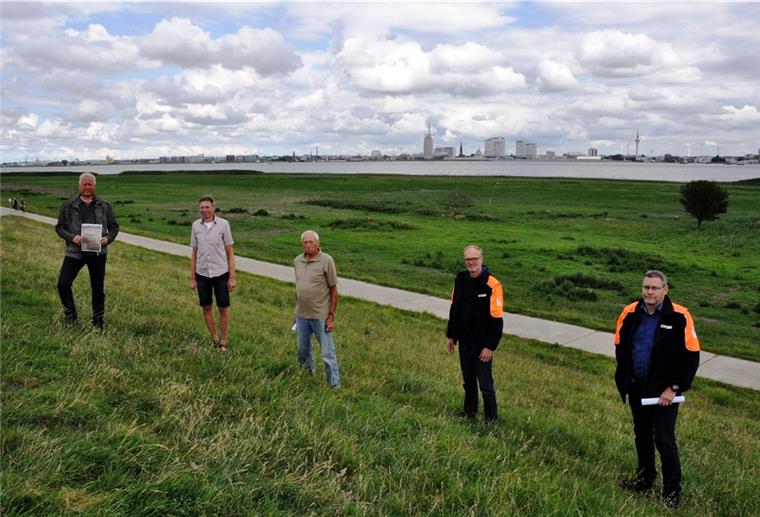 Blexer Deichvorland: Grüner Teppich statt braunem Schlamm Das Blexer Deichvorland ist wieder grün, nachdem es im Frühjahr noch von einer dicken Schlammschicht bedeckt war. Darüber freuen sich (von links) Burchard Wulff, Harald Nordmann, Theo Köhne, Jürgen Lange und Olaf Meyer.