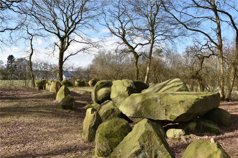 Großsteingräber im Landkreis Cuxhaven - Stumme Zeugen der Geschichte Das Bülzenbett in Sievern