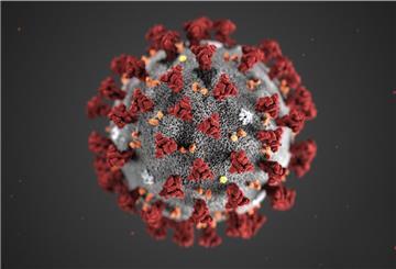 Das Coronavirus ist zurzeit in immer weniger Kommunen des Landkreises nachweisbar. 