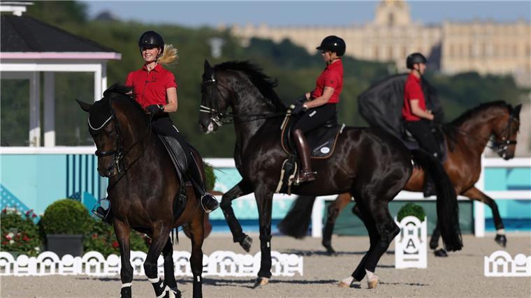 Gold-Jagd im Schatten des Skandals Das deutsche Dressur-Trio ist Gold-Favorit