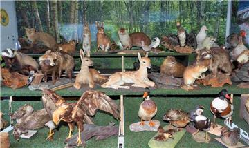 Das Diorama der Jägerschaft Wesermünde-Bremerhaven wurde besonders von vielen K...