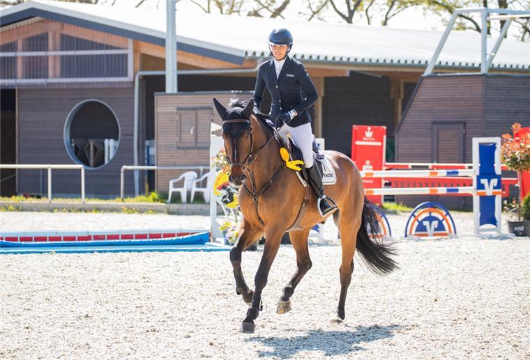 Reitturniere auf dem Land vor schwerer Saison Das Eintagesturnier mit der Qualifikation für das Bundeschampionat für Springpferde in Elmlohe setzte auf Qualität statt Quantität.