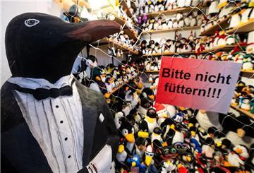 Zahlreiche Plüschpinguine sind im Museum zu sehen.