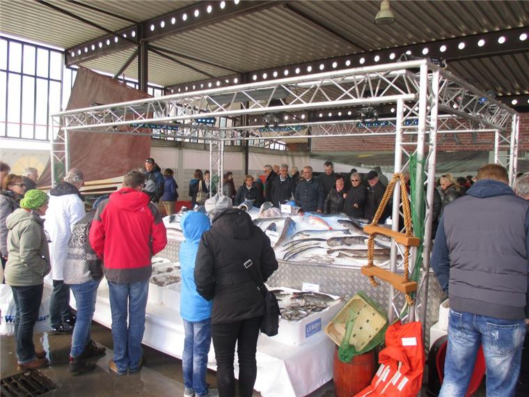 Fischparty am Hafenbecken lockt Zigtausende Das eisige Fischbett am Kohlenkai stellt fast 100 Meerestiere zur Schau und lockt tausende Gäste an.