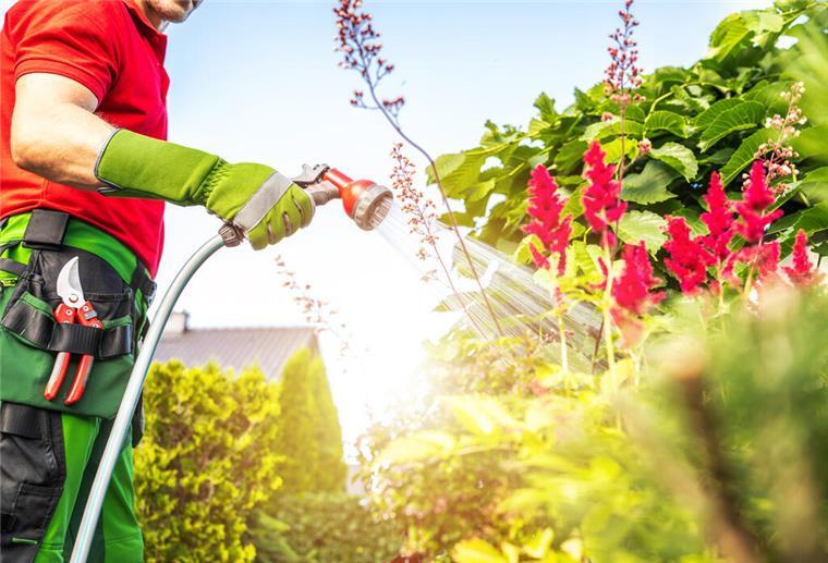 Ihr Partner für Garten-, Landschafts- und Tiefbau Gartenpflege, Garten- und Landschaftsbau