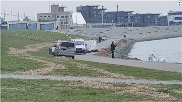 Fahrzeuge parken am Deich. 