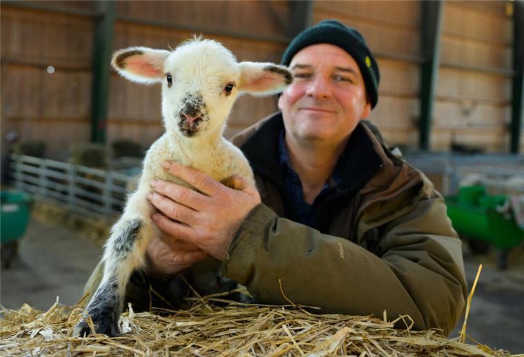 Stefan Erb, Schäfer, hält ein wenige Tage altes Lamm in den Händen. Die wochenlange Lammzeit Anfang des Jahres ist für Schäfer ein Dauerjob.