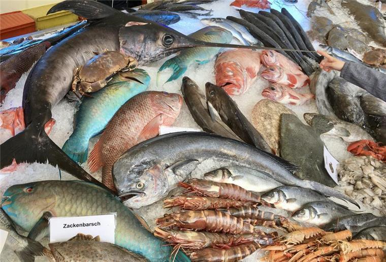 Was die Fischparty in Bremerhaven den Gästen bietet Das Fischbett zeigt verschiedene Fischarten und Schalentiere.