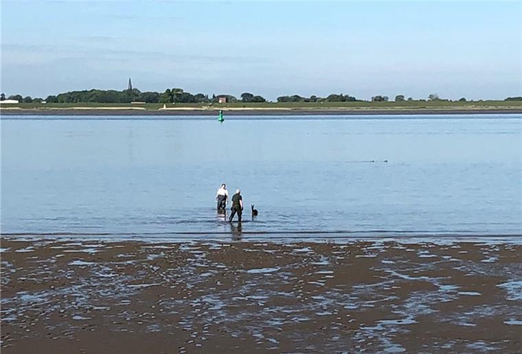 Bremerhaven: Reh muss in der Weser erschossen werden Das Foto zeigt Holger Bartels, einen Beamten der Wasserschutzpolizei und das Reh in der Weser am Donnerstagvormittag.