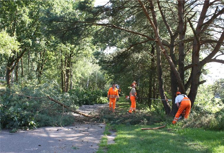 Das Freischneiden von Straßen und Wegen sollte in keinem Fall vor dem 15. Juli erfolgen. 