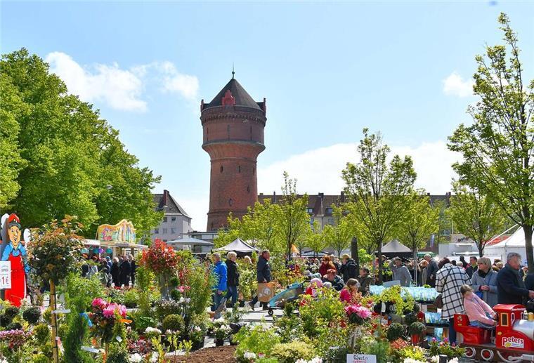 Blütenfest lockt am 4. Mai von 10 bis 18 Uhr zum Konrad-Adenauer-Platz Geestemünde, Blütenfest, 4. Mai 2025