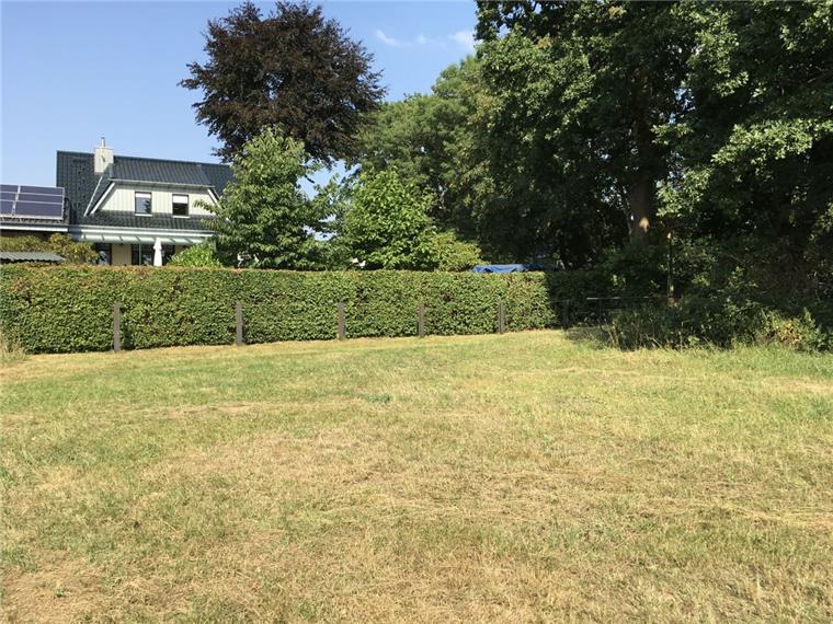 Zoff um neue Kita in Schiffdorf eskaliert Das Grundstück für die geplante Kita in Spaden grenzt an die Gärten der Anlieger im Marnkeweg. Noch ist es eine Pferdeweide. So bleibt es auch erstmal.