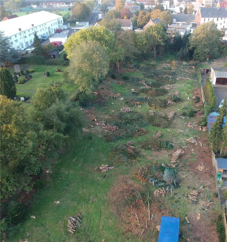 Am Altwulsdorfer Friedhof soll überraschend gebaut werden Das Grundstück zwischen Altwulsdorfer Friedhof und Hackfahrel ist bereits im Herbst gerodet worden. Das alte reetgedeckte Bauernhaus (oberer Bildrand) muss für das geplante Wohnbau-Projekt weichen.