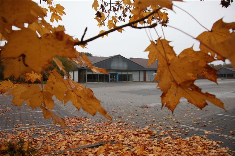 Coop hält an Baumarkt-Plänen für Nordholz fest Das Handelsunternehmen Coop will trotz neuer Mehrheitsverhältnisse im Unternehmen im ehemaligen Sky-Markt der Bahnhofstraße in Nordholz ein „Plaza Bau- und Gartencenter“ eröffnen.