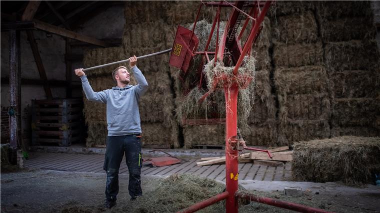 Landwirt aus dem Cuxland ist ein YouTube-Star Ein Mann schmeißt mit einer Forke Heuballen auf einen Höhenförderer.