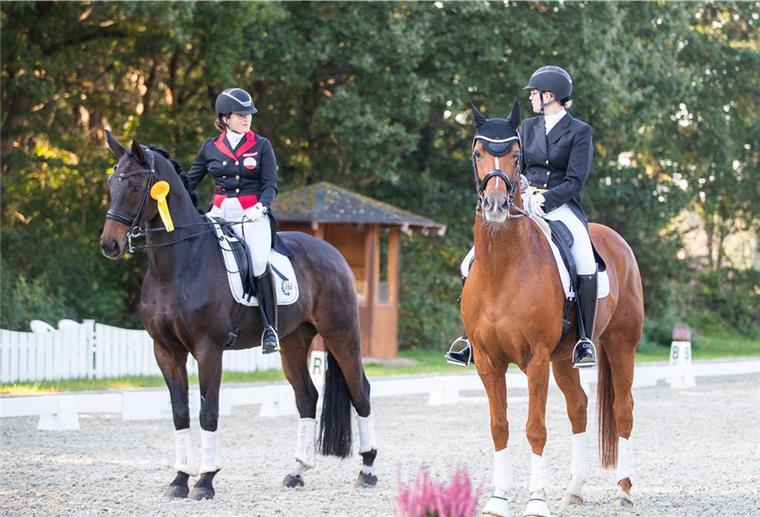 Reitsaison in Elmlohe endet mit einem goldenen Herbst Zwei Pferde mit ihren Reiterinnen.