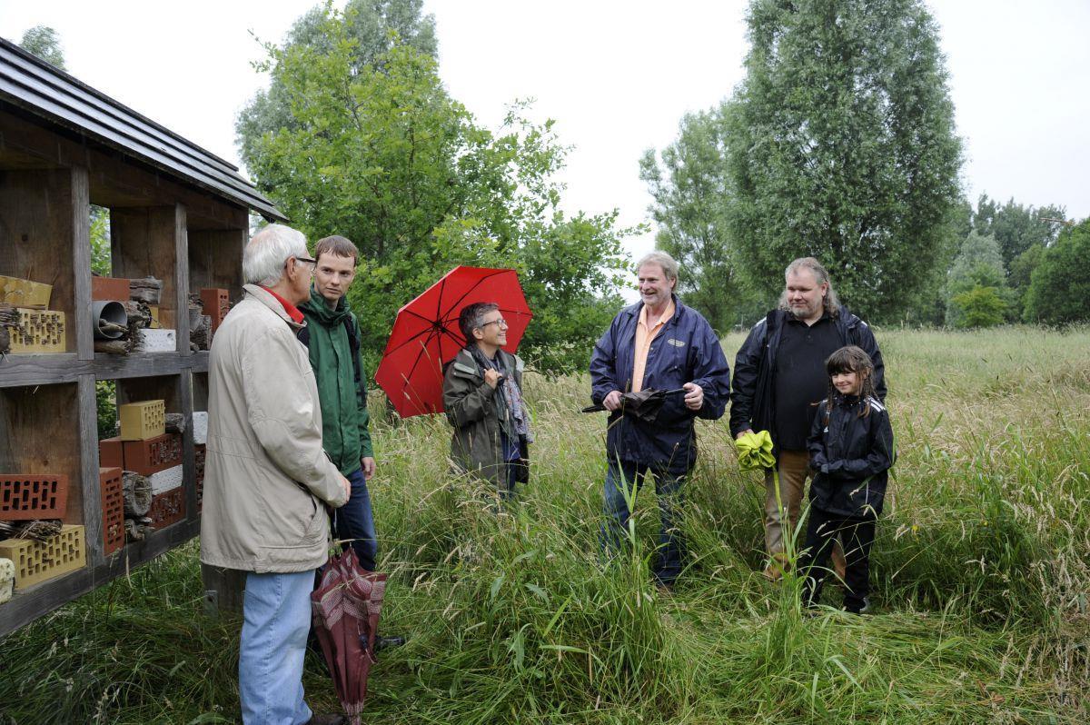 Agenda-Wald ist völlig verwahrlost Das Insektenhitel versinkt förmlich im mannshohen Gewucher des Agenda-Hains am Neuenmoorweg. Die Leherheider wünschen sich behutsame Pflege und einen Pfad. Foto Scheschonka