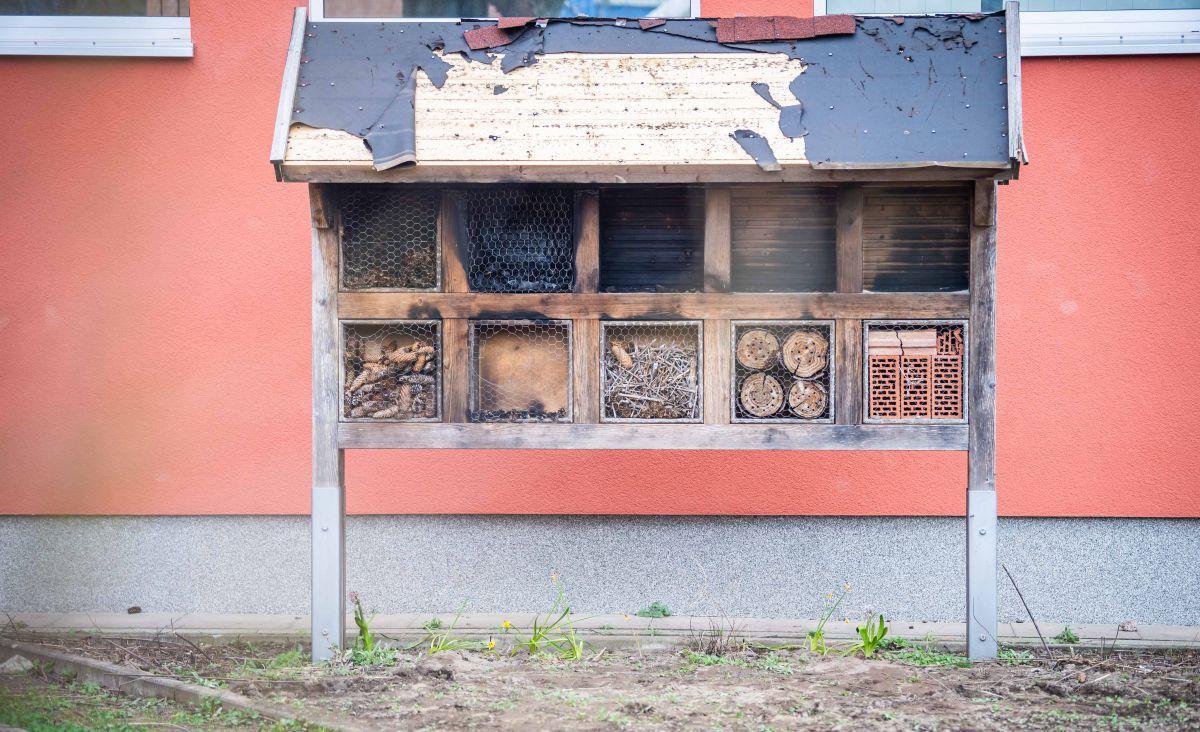 Vandalismus in Leherheide: Insektenhotel an Grundschule angezündet Das Insektenhotel der Friedrich-Ebert-Schule fiel dem Vandalismus druch Feuer zum Opfer.