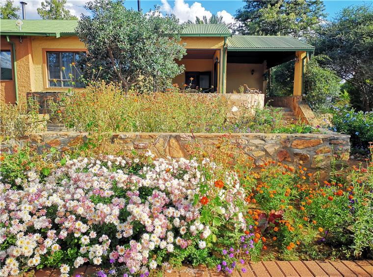 Das ist das Haus, in dem Magdalene und Michael Remmers in Namibia leben. „Wir wohnen in einem botanischen Garten“, sagen sie.