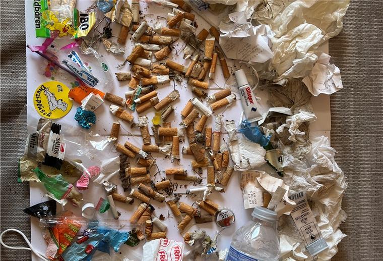 Eine Neunjährige ist in Butjadingen im Einsatz für die Umwelt Das ist der Müll, den Paula und ihre Oma Liane Hodel in nur einer halben Stunde am Burhaver Strand gefunden haben.