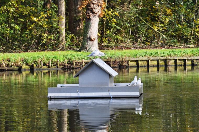 Neue Pumpe soll die Gateteiche in Nordenham retten Das ist kein Entenhaus, sondern das Gehäuse einer Umwälzpumpe, die die Stadt in den Gateteichen installiert hat.