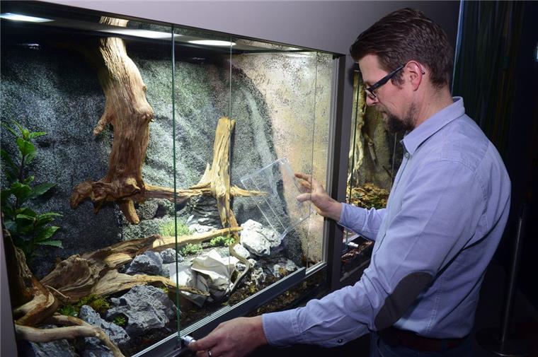 Klimahaus: Das große Krabbeln beginnt Das Klimahaus in Bremerhaven bekommt morgen neue Mitbewohner. Die Terrarien auf der Reisestation Sardinien sind für den Einzug bereit. Der biologische Leiter Lutz Fischer freut sich bereits auf Ameisen, Schlangen und weitere Krabbeltiere.