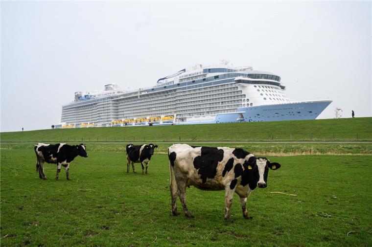 Bremerhaven: Am Mittwoch soll die "Spectrum of the Seas" kommen Das Kreuzfahrtschiff "Spectrum of the Seas" bei der Emsüberführung.