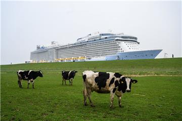 Das Kreuzfahrtschiff "Spectrum of the Seas" bei der Emsüberführung.