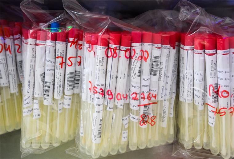 Coronakrise: Bundesweite Inzidenz steigt auf 1714,2 PCR-Tests von Patienten liegen im Labor Nordlab in einem Kühlschrank