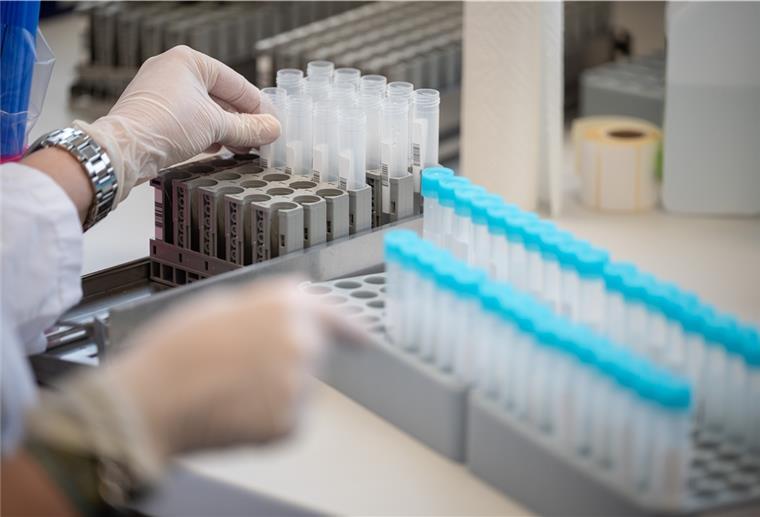 Omikron-Variante nun vorherrschend in Niedersachsen Das Landesgesundheitsamt hatte die Omikron-Variante in Niedersachsen erstmals am 3. Dezember nachgewiesen.