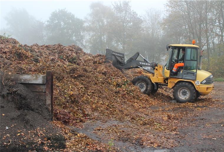 Stadt Nordenham stellt wieder Laubcontainer auf Das Laub aus den Containern wird auf dem Gelände des Nordenhamer Bauhofs gesammelt.