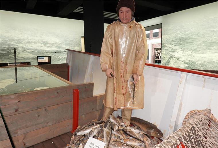 Im Sturm der Zeiten Museum Windstärke 10