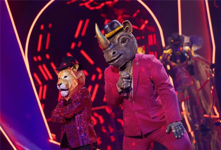 Ex-Handballspieler Pascal Hens bei „Masked Singer“ enttarnt Das Nashorn musste gehen: Der Italo-Macho und Türsteher konnte das Publikum nicht von sich überzeugen.
