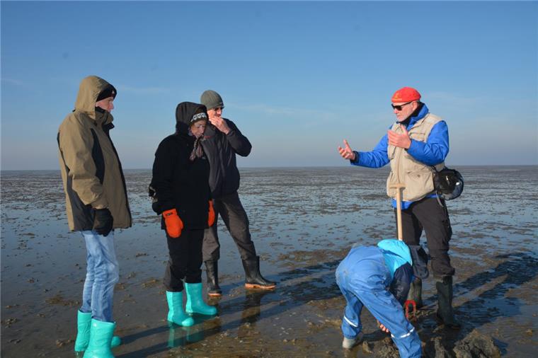 Nationalpark-Haus im Cuxland sucht wetterfeste Bewerber Das Nationalpark-Haus Wurster Nordseeküste sucht Bewerber für ein Freiwilliges Ökologisches Jahr.