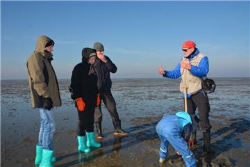 Das Nationalpark-Haus Wurster Nordseeküste sucht Bewerber für ein Freiwilliges Ökologisches Jahr.