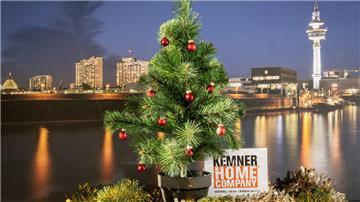 Baum am Hafen
