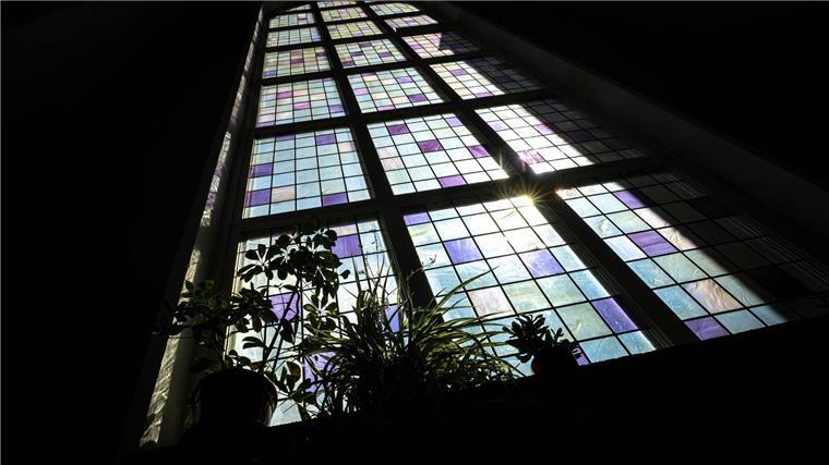 Kirchenasyl für Zimmerpflanzen während der Ferien Das Projekt soll Denkanstöße liefern für eine weitere Umgestaltung der Bremer Kirche liefern. (Foto Produktion)