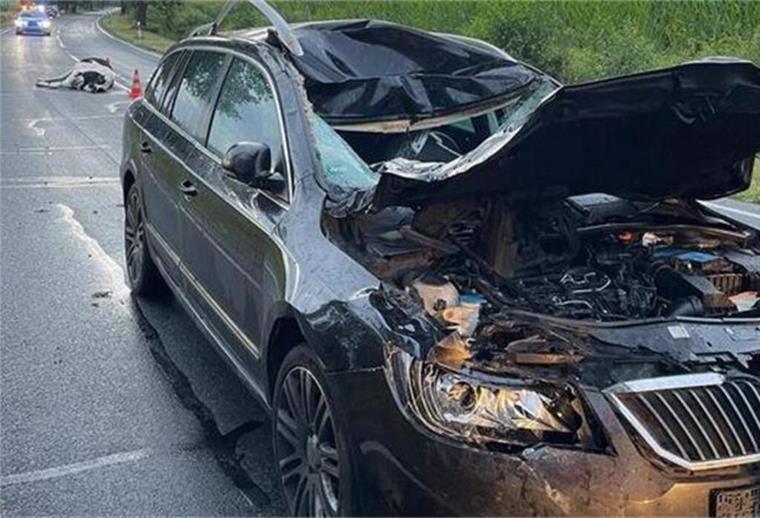 Frontal-Crash mit ausgebüxtem Rind: Fahrer leicht verletzt, Tier verendet Das Bild zeigt das beschädigte Fahrzeug. Im Hintergrund ist das verendete Rind zu sehen.