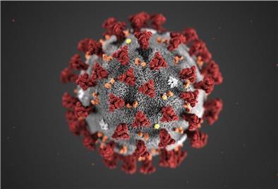 Das RKi weist darauf hin, dass die Zahlen wegen der Osterfeiertage weniger Aussagekraft haben könnten.