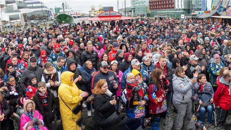 Das schlechte Wetter kann die Fans der Pinguins nicht schocken.