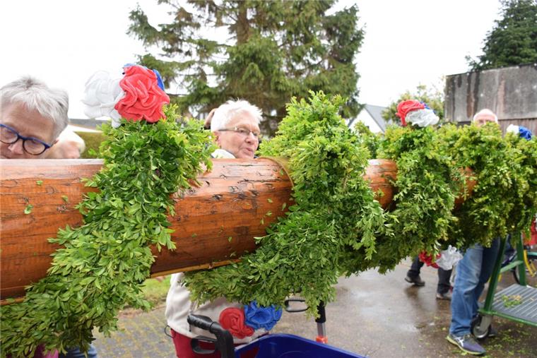 Nordenham: So hat der KBV Abbehausen seinen Maibaum geschmückt Das Schmücken des Baumes ist Teamarbeit. Erst wird ein mit Buchs geschmücktes Seil um den Stamm gebunden und anschließend der Baum mit den bunten Krepp-Blüten dekoriert.