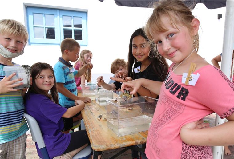 Grundschüler werden zu Wattenmeer-Experten Das Schuljahr endet für die Schüler der Grundschule Butjadingen mit einer Projektwoche. In Corona-Zeiten steht damit das erste Mal wieder Unterricht abseits des Lehrplans auf der Tagesordnung.